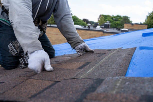 Best Roof Maintenance Services  in Peebles, OH