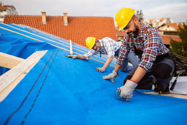 Best Metal Roofing Contractor  in Peebles, OH