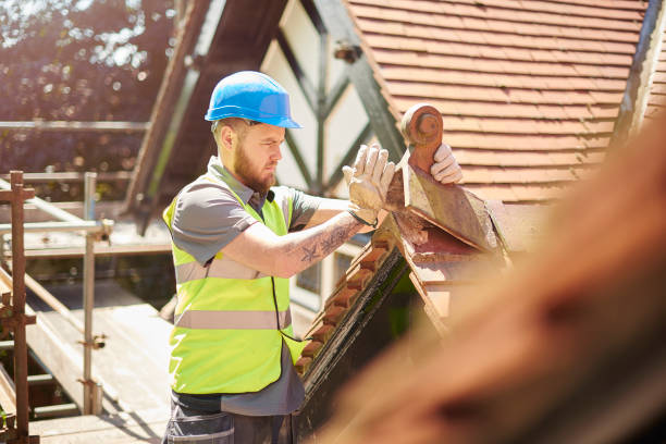 Best Roof Gutter Cleaning  in Peebles, OH